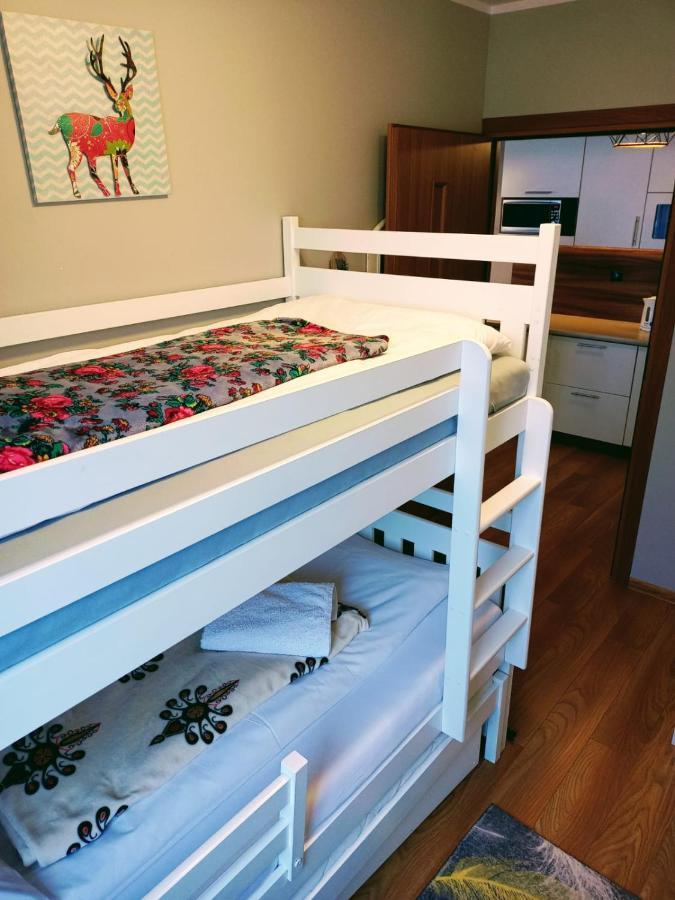 Apartament Z Widokowym Tarasem Na Tatry Apartment Кошелско Екстериор снимка